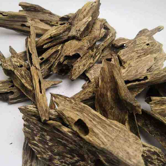 عود هندي (توله)